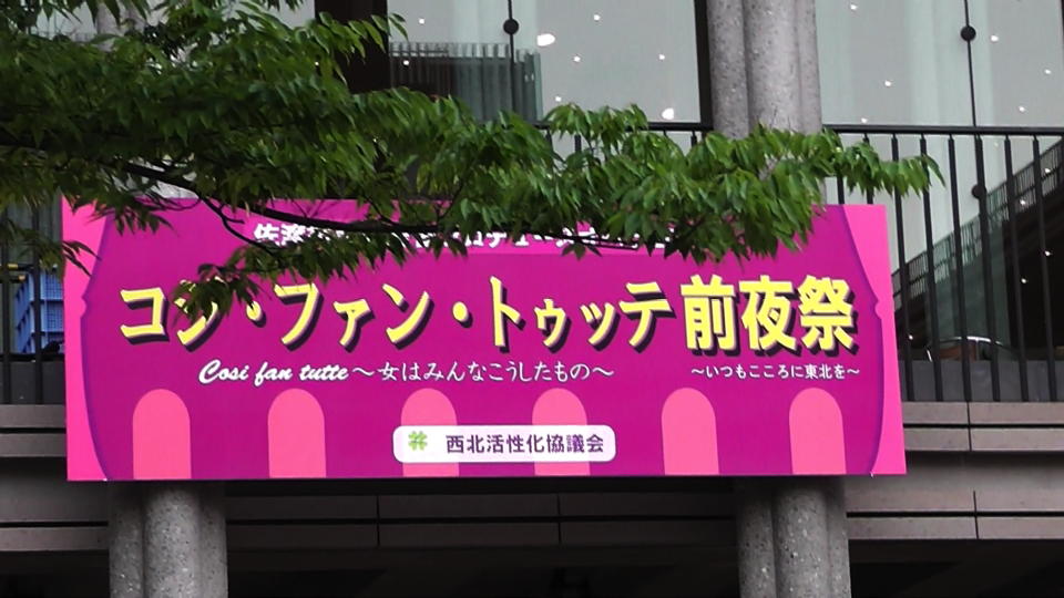 �t���T�C�Y�摜